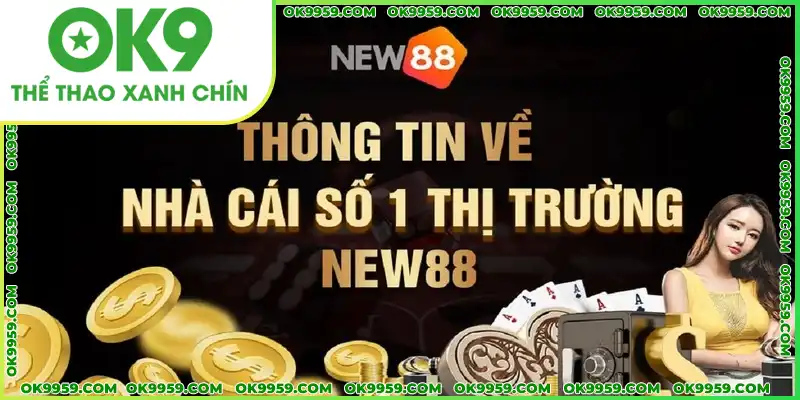 Thông tin tổng quan về đối tác NEW88 Thông tin tổng quan về đối tác NEW88