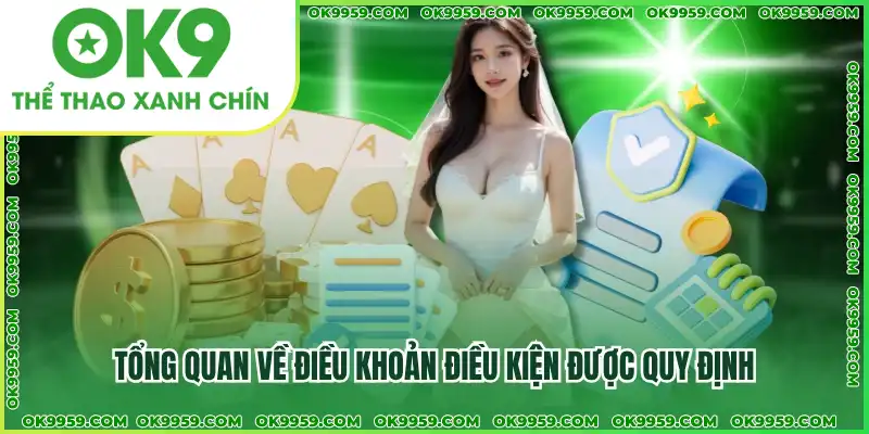 Tổng quan về điều khoản điều kiện được quy định